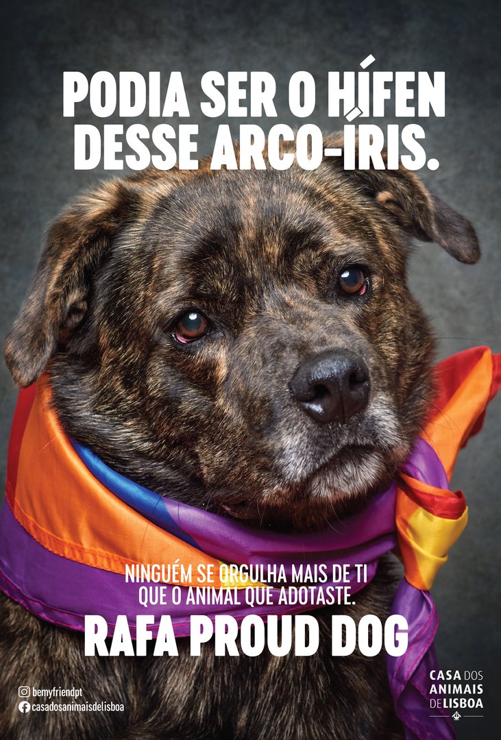 4_RafaProudDog copy.jpg