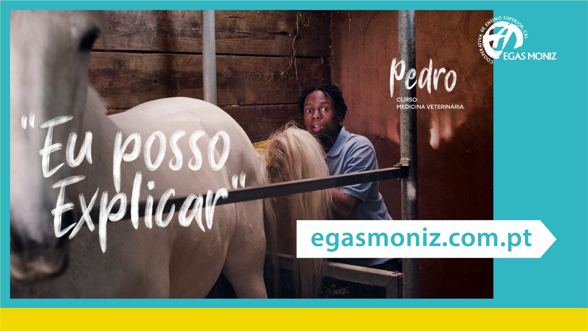 BOARDS Finais CCP SUBMISSÃO LIGHT-22.png