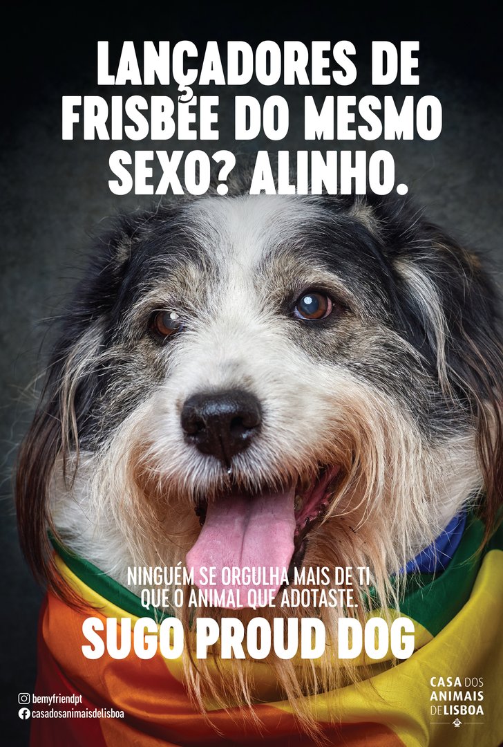 3_SugoProudDog copy.jpg