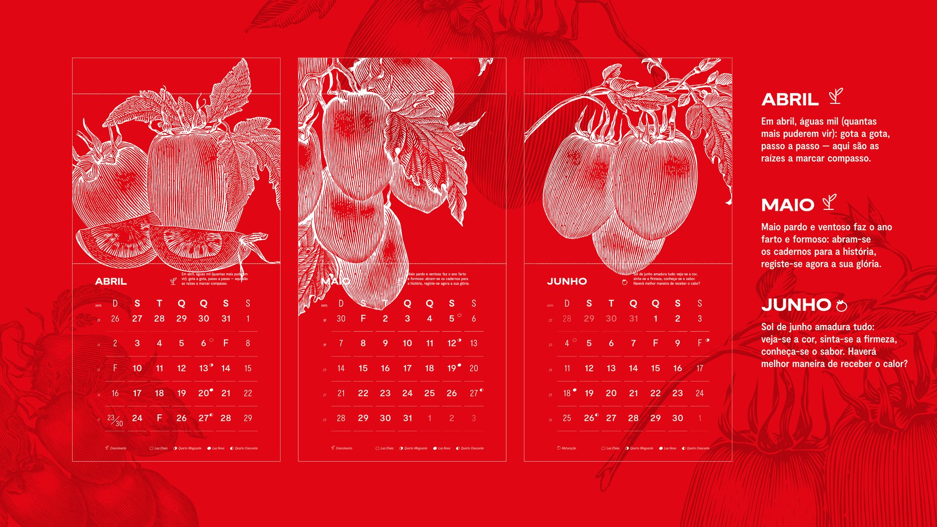 BOARDS_GULOSO_CALENDARIO-04.jpg