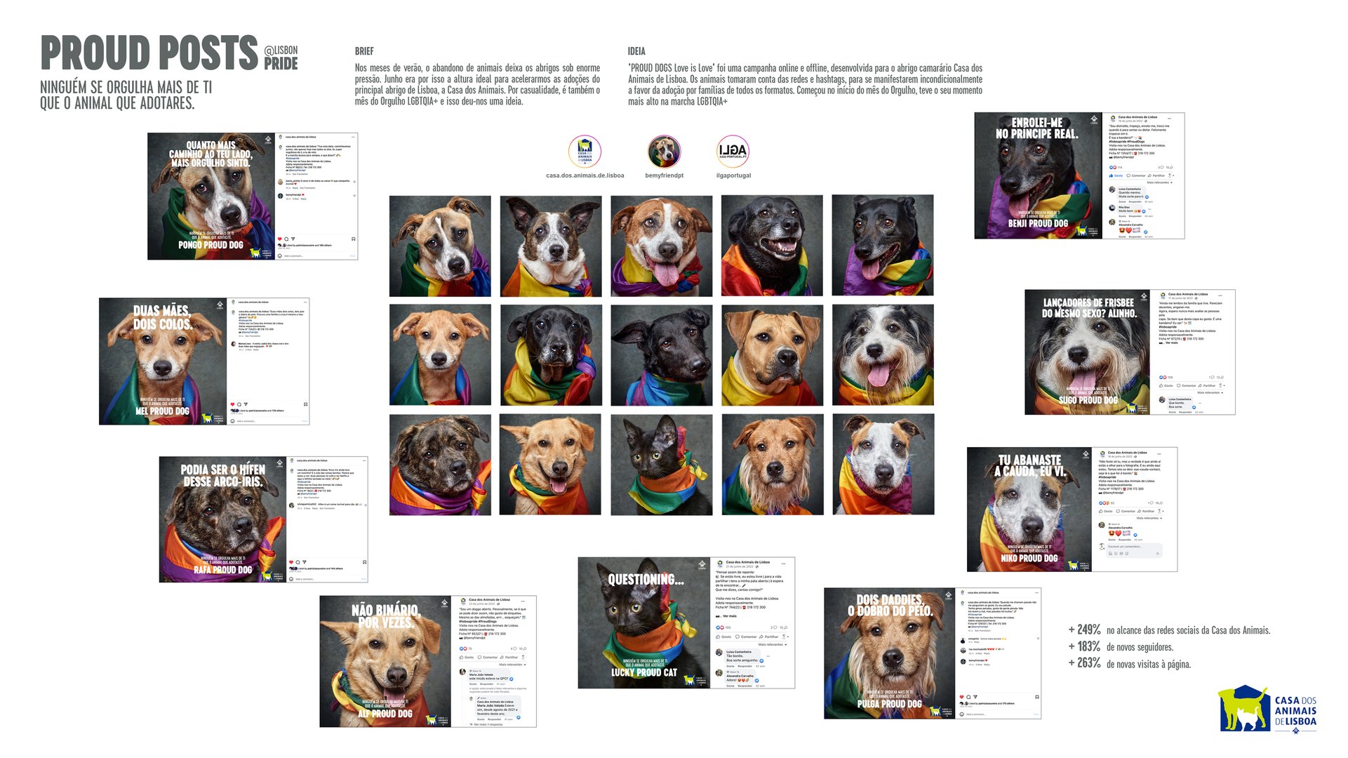 Board_ProudDogs_CampanhaDigital_CCP.jpg