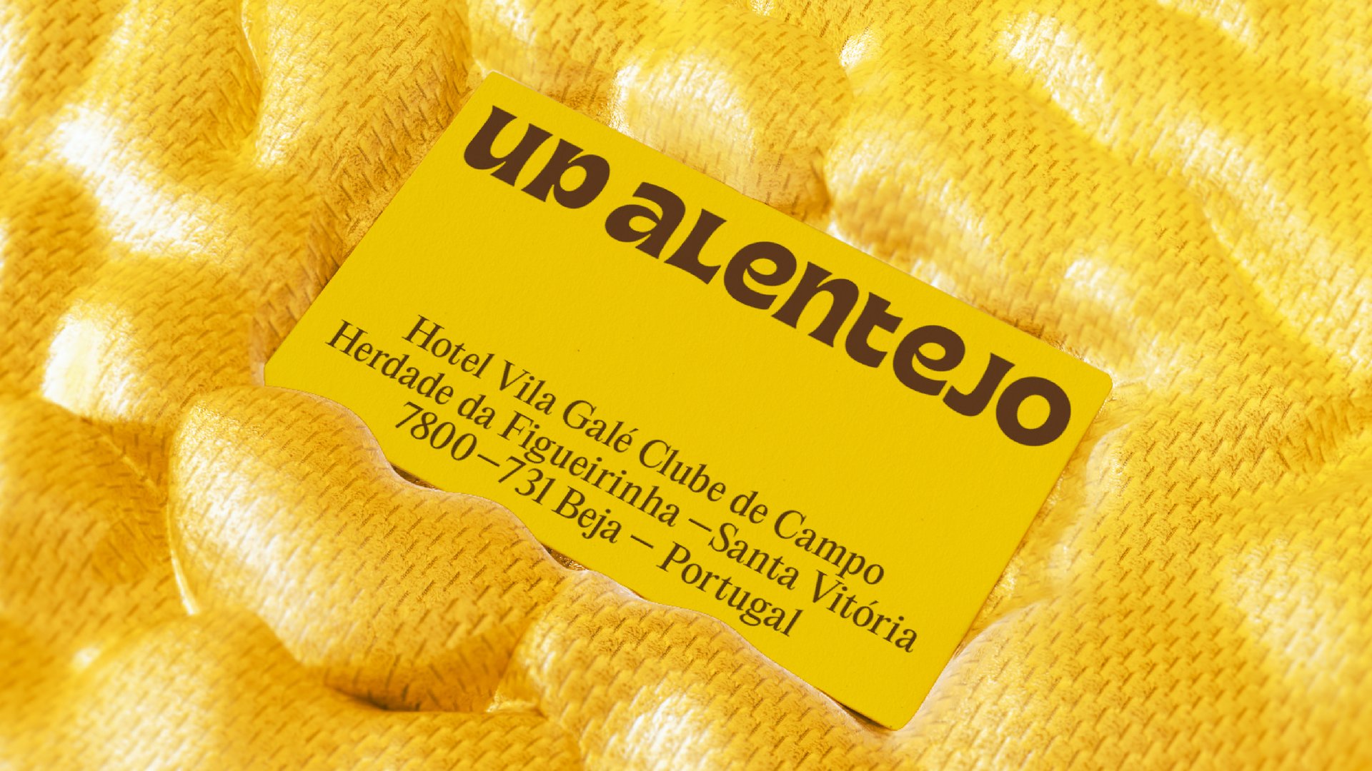 UP REBRANDING - 2.jpg