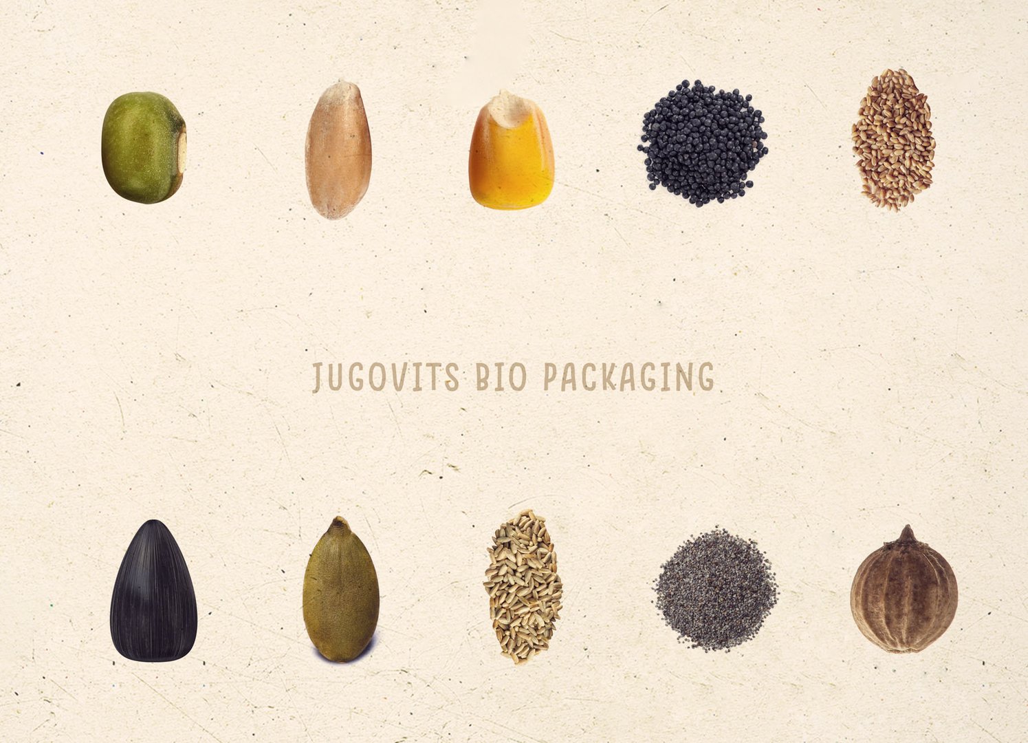 {{ obj.asset.name }}