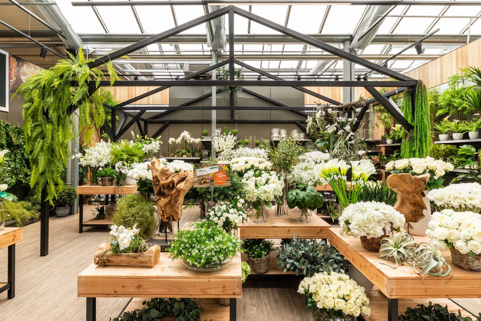 bellaflora_Leonding_Presse4.jpg