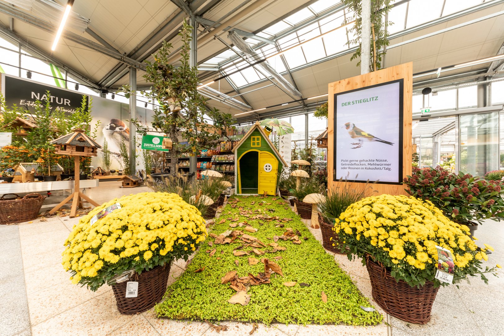 bellaflora_Leonding_Presse5.jpg