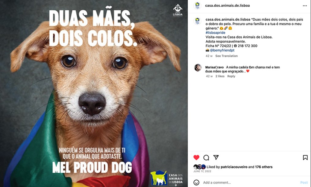 2_MelProudDog.jpg