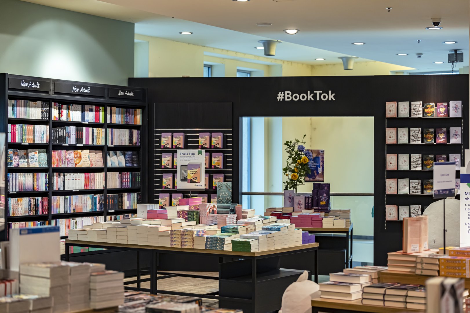 BookTok Bereich Thalia Linz Landstraße.jpg