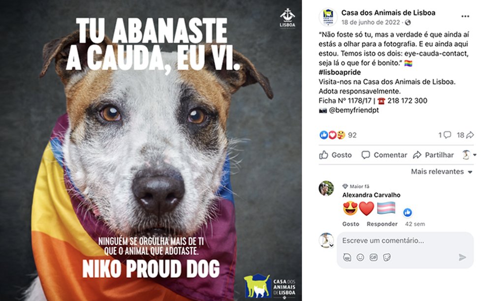 6_NikoProudDog.jpg