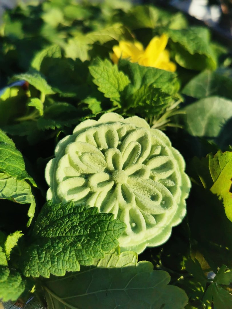 1488e2ce-996f-4d8c-a3a1-6553fbd3ed37.jfif