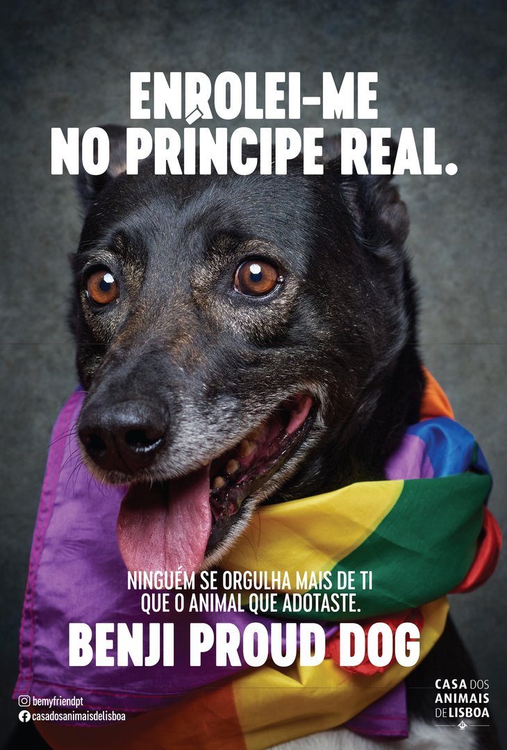 6_BenjiProudDog.jpg