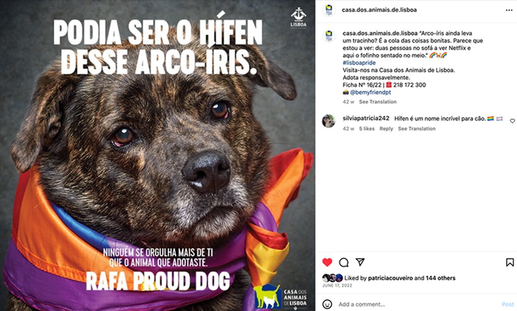 3_RafaProudDog.jpg