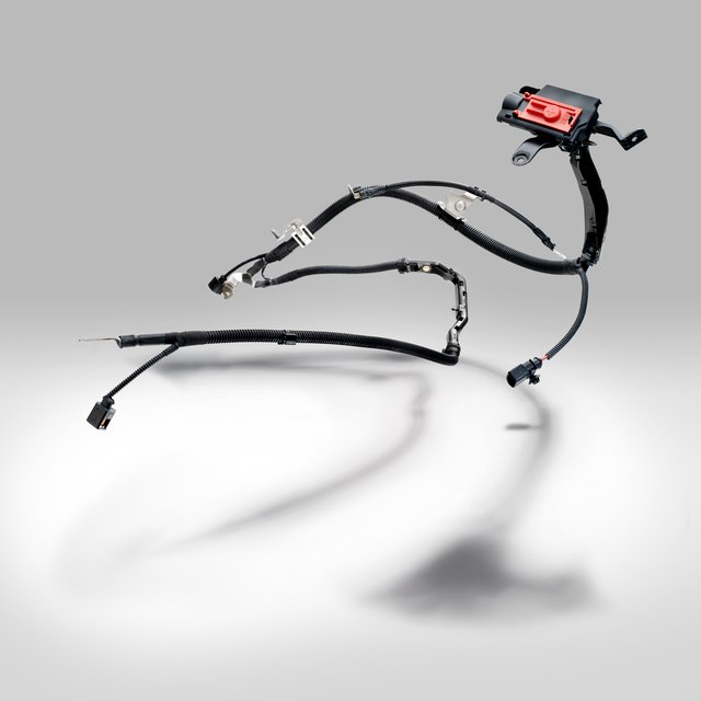 7ec99655 c29a 4e25 9218 df00eeacd26b.jpg.640x0 q85 crop