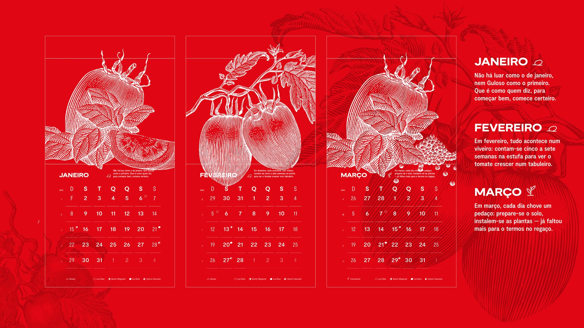 BOARDS_GULOSO_CALENDARIO-03.jpg