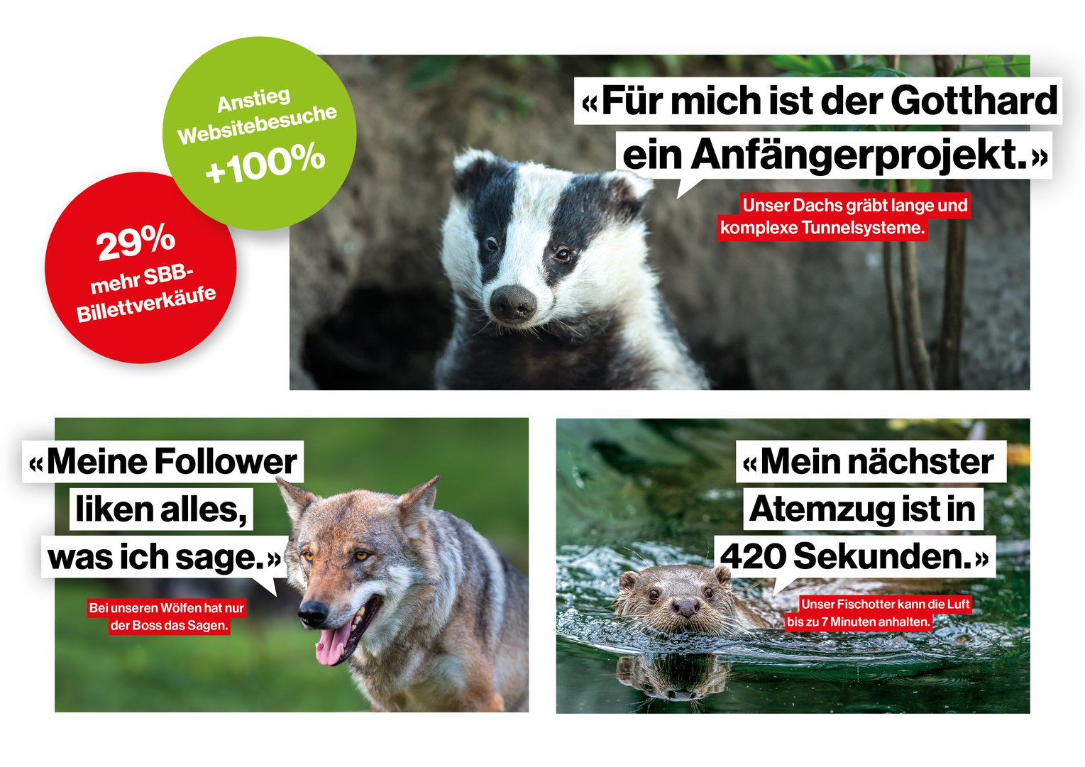 Titelbild zu Tierfluencer