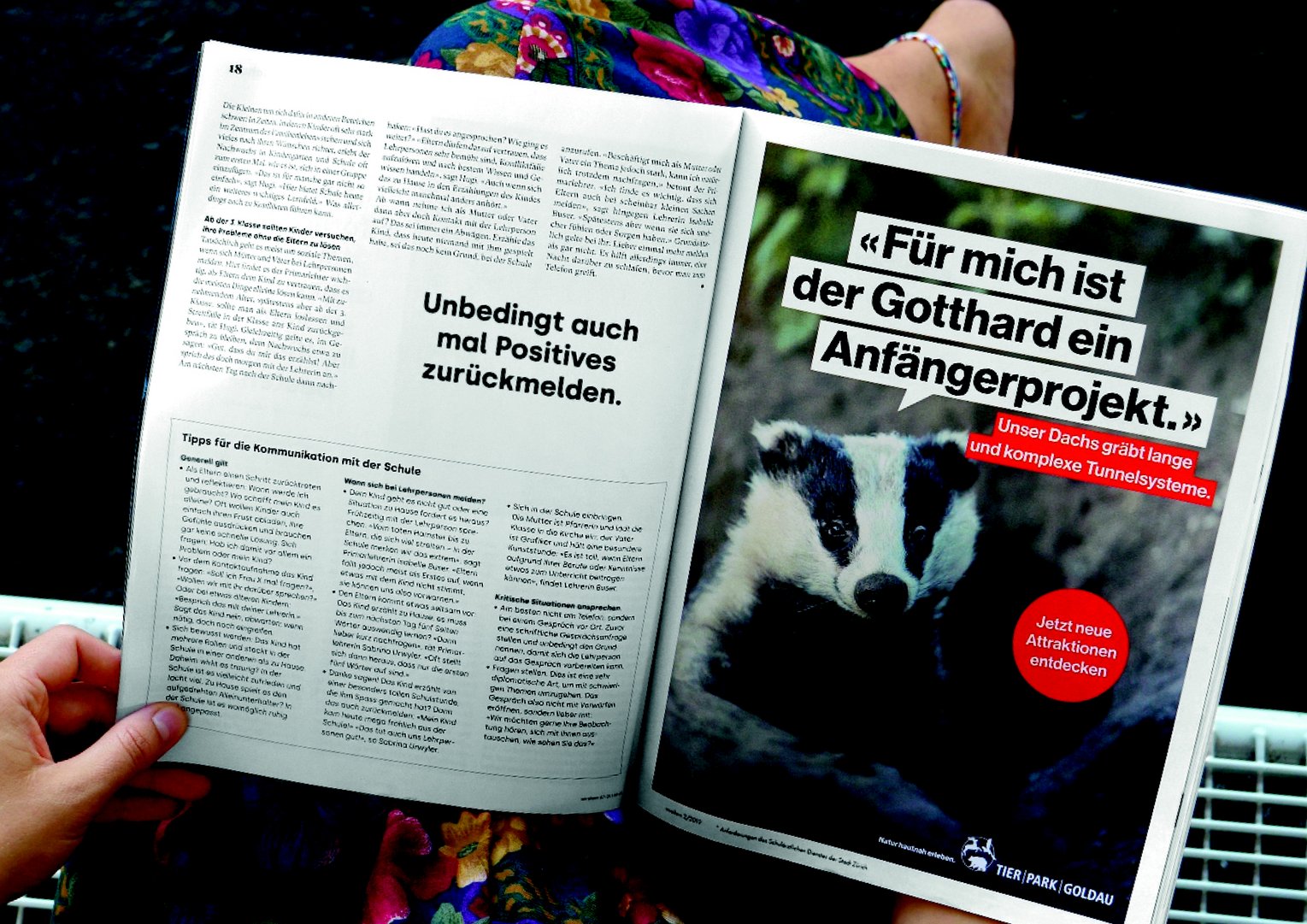 Tierfluencer-6-Inserat.jpg