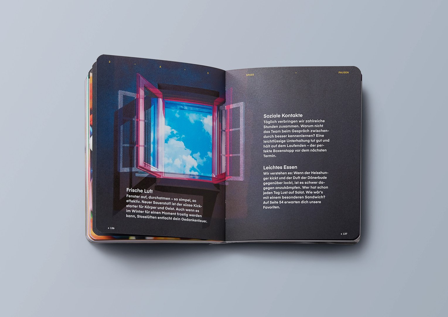 Vibe-Guide-5.jpg