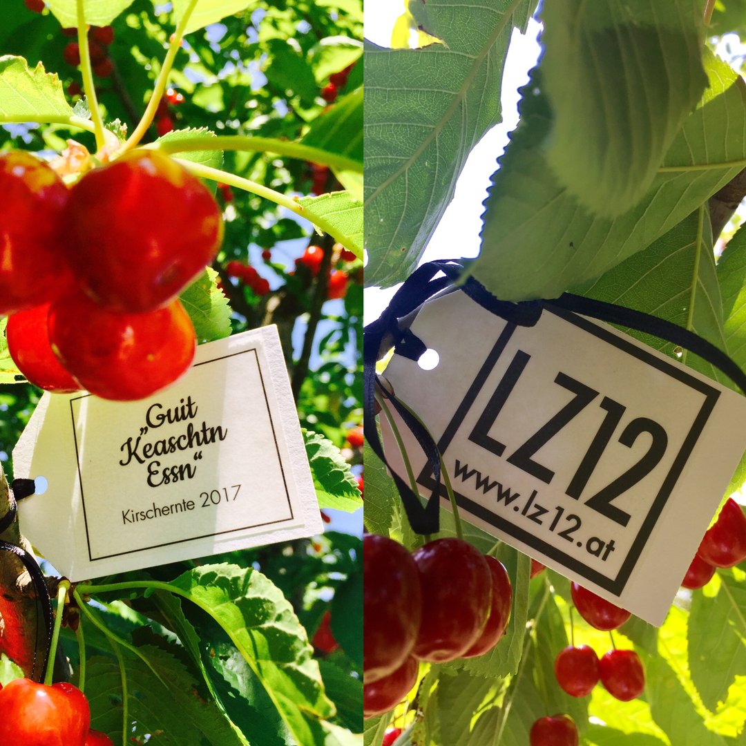 {{ obj.asset.name }}