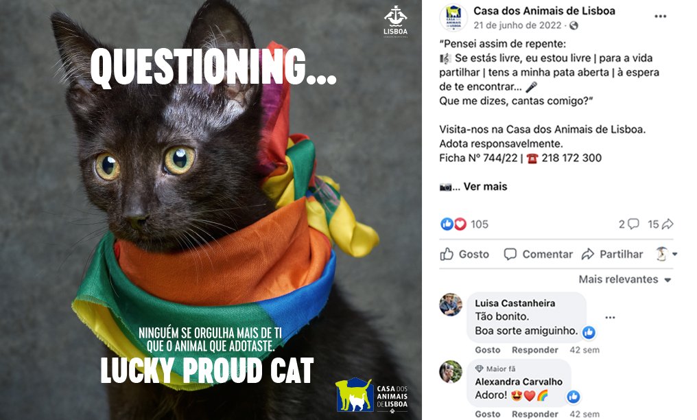 8_LuckyProudCat.jpg