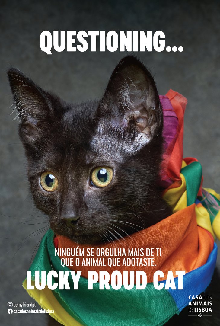 8_LuckyProudCat copy.jpg