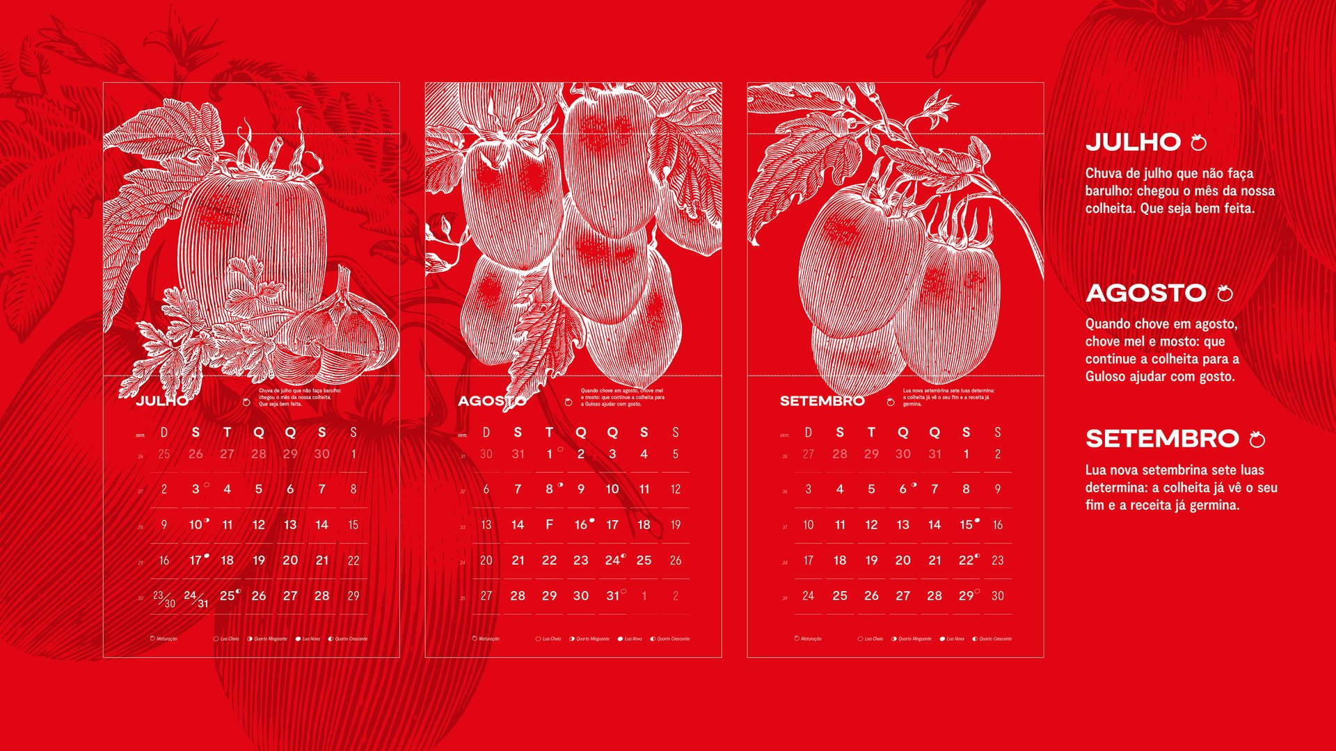 BOARDS_GULOSO_CALENDARIO-05.jpg