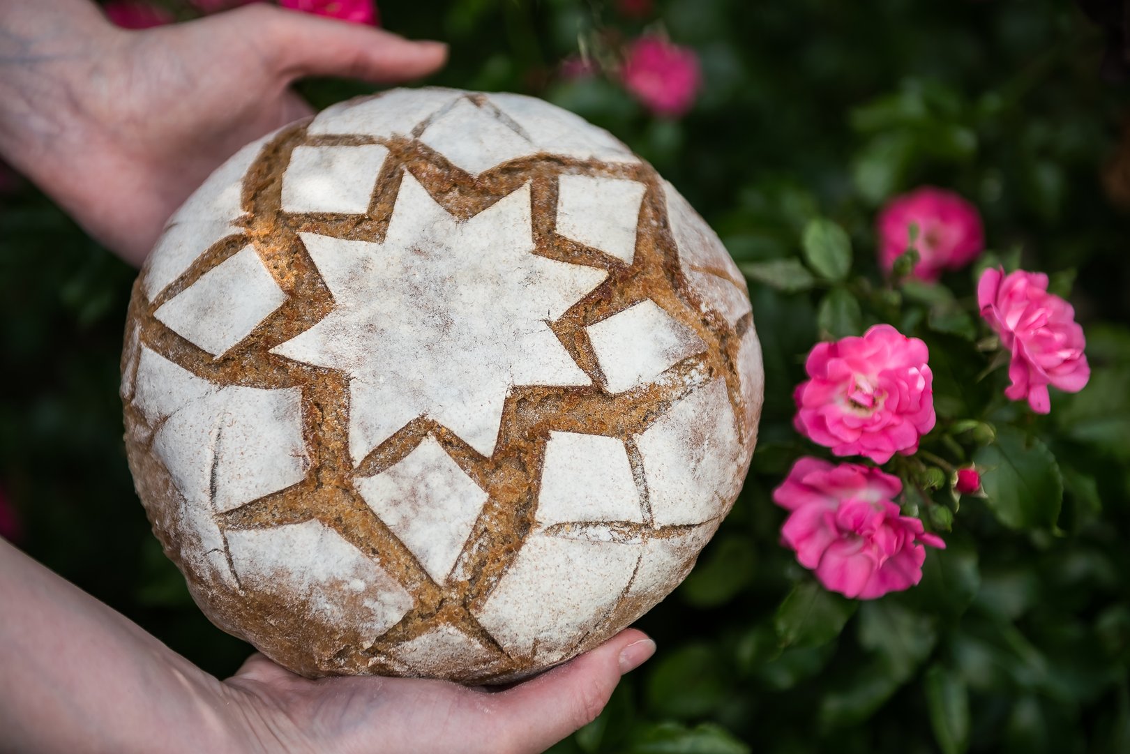Titelbild zu Roggensauerteigbrot- Ein köstliches Lebensmittel aus Wasser und Mehl