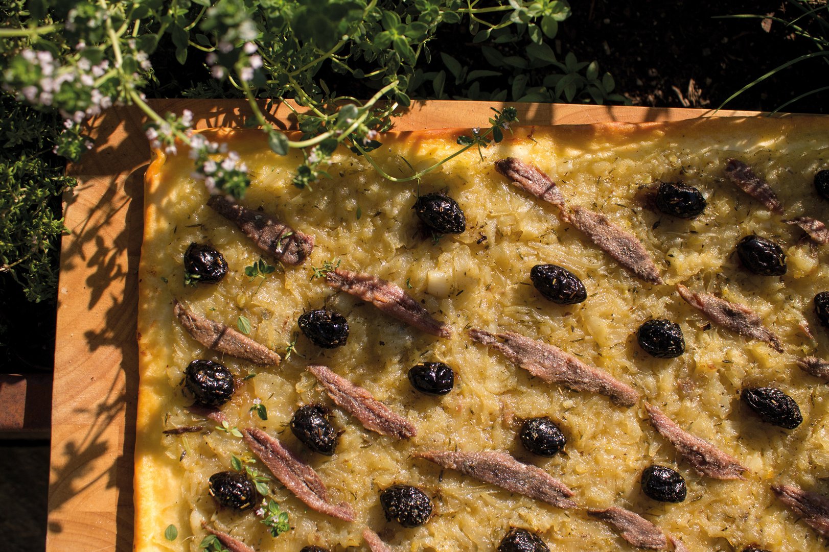 Titelbild zu Pissaladière – Zwiebelkuchen