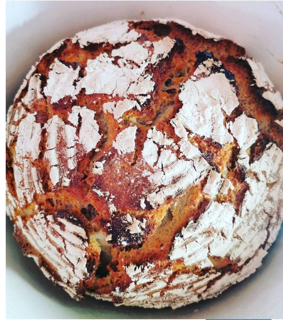 Titelbild zu Kürbiskernbrot