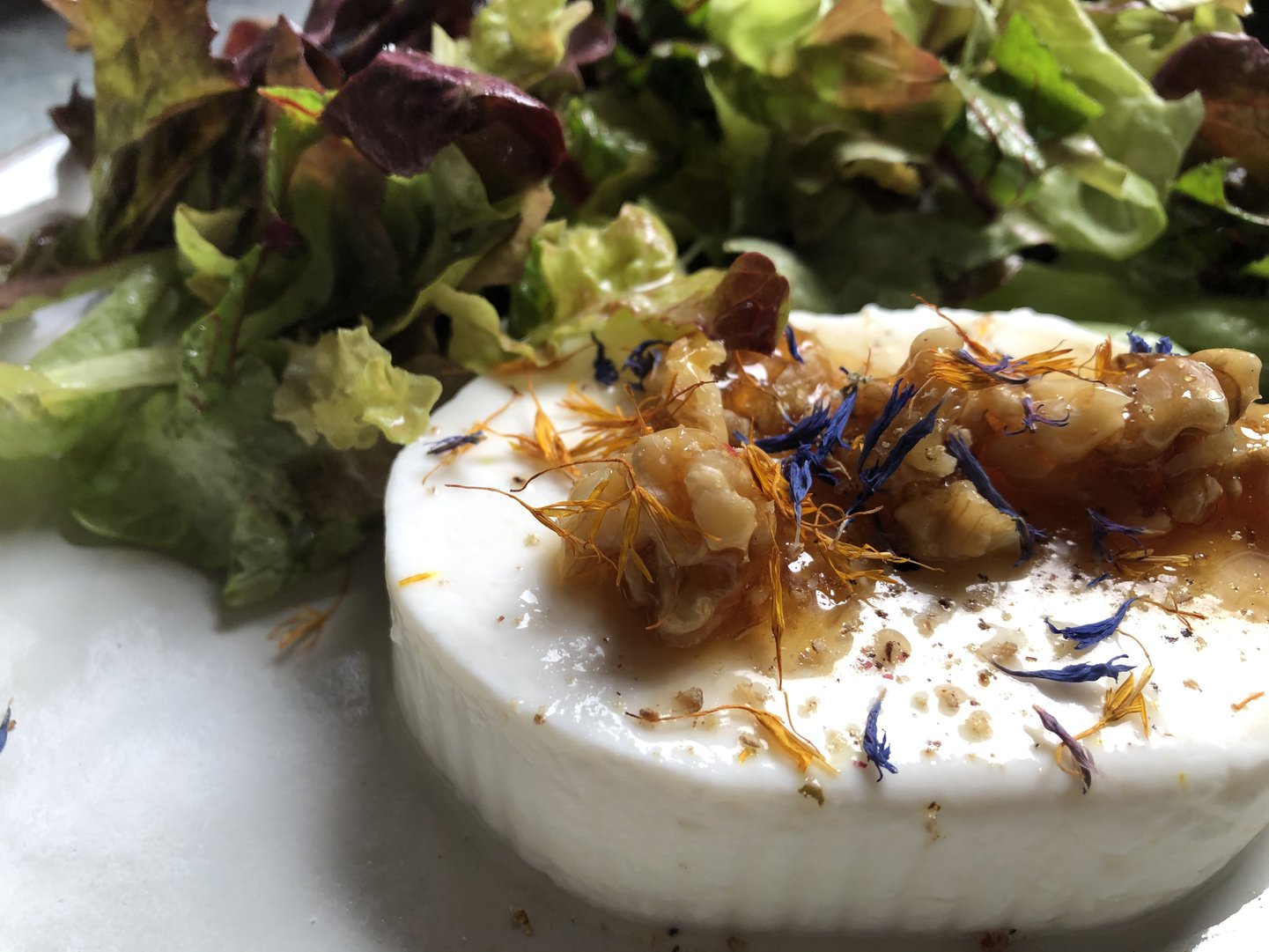 Titelbild zu Ziegenkäsle fromfarmtotable