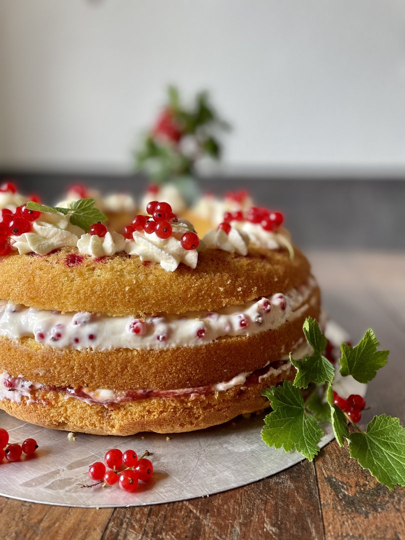Erfrischender Ribisel Kranzkuchen