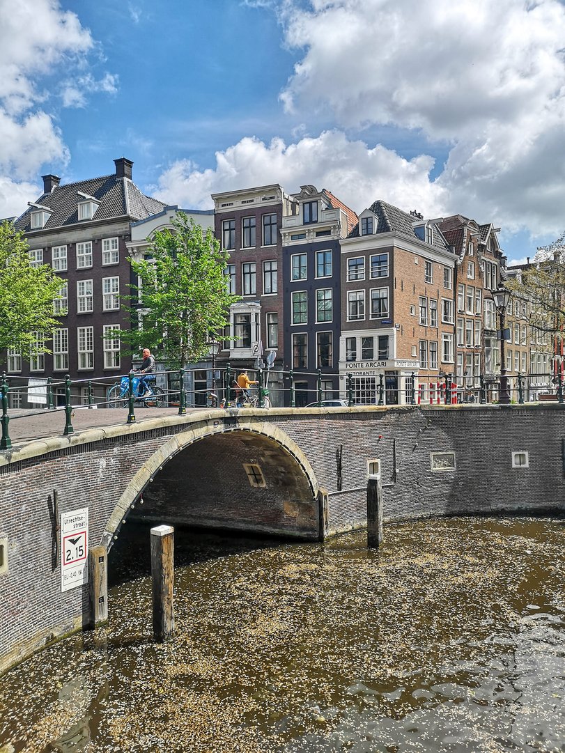 Amsterdam's Taste of Home