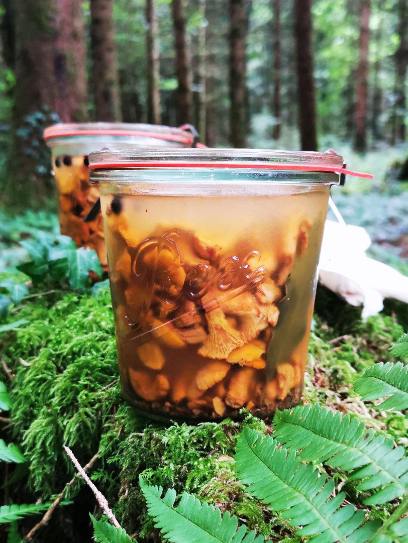 Pikante Gewürz-Eierschwammerl