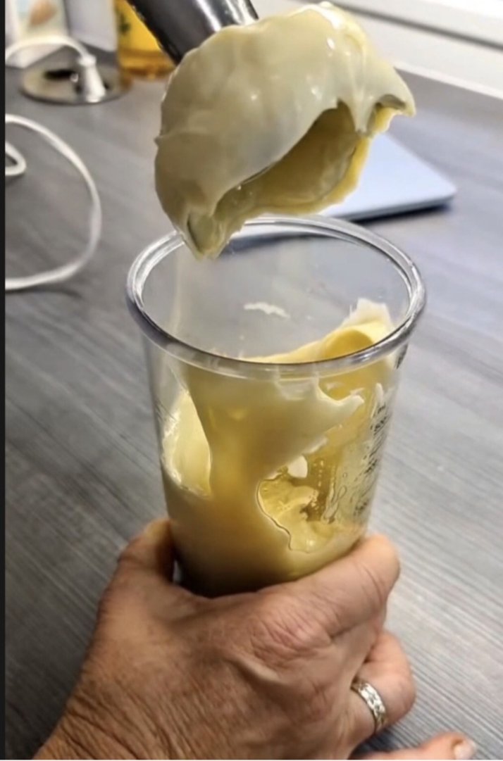 Mayonnaise in 1 Minute