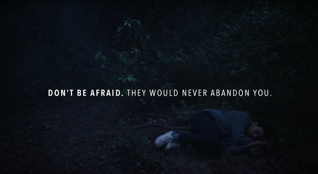 Animalife - The Walk