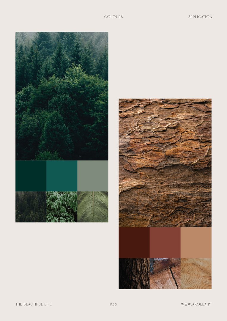 AROLLA_BOARDS-33.jpg