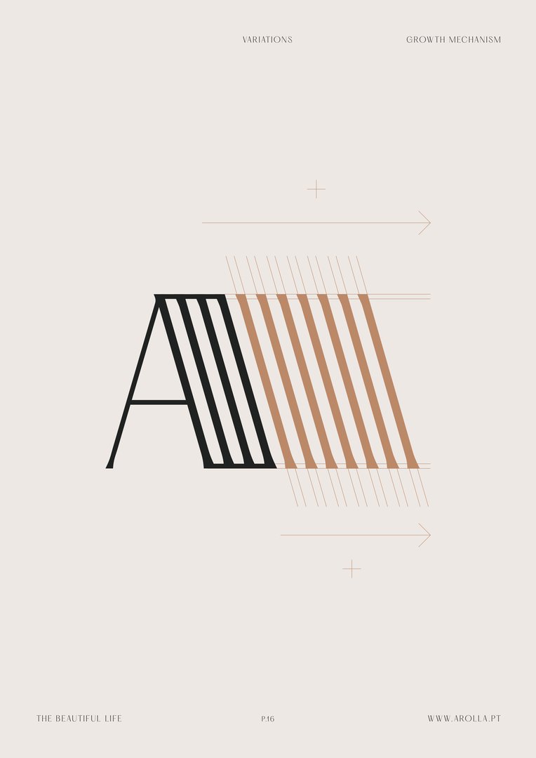 AROLLA_BOARDS-16.jpg