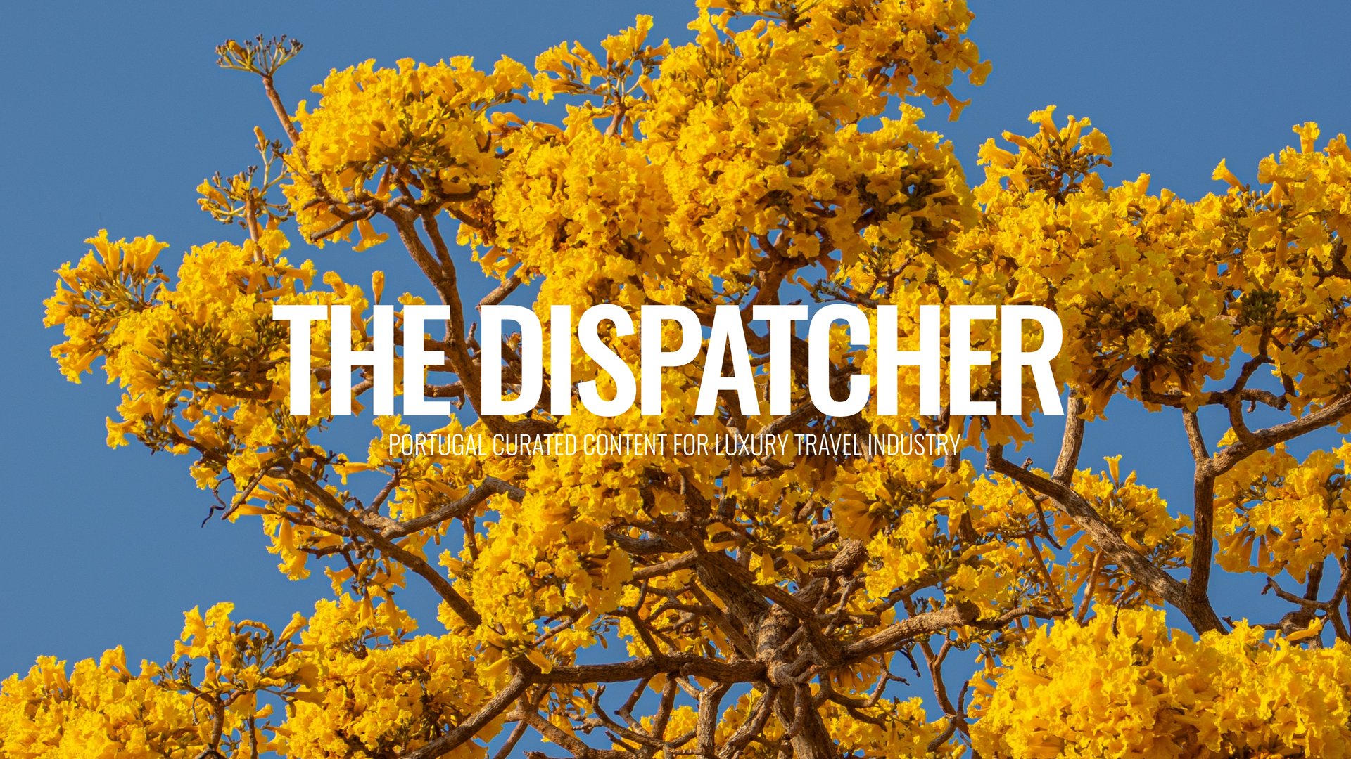 THE-DISPATCHER-1.jpg