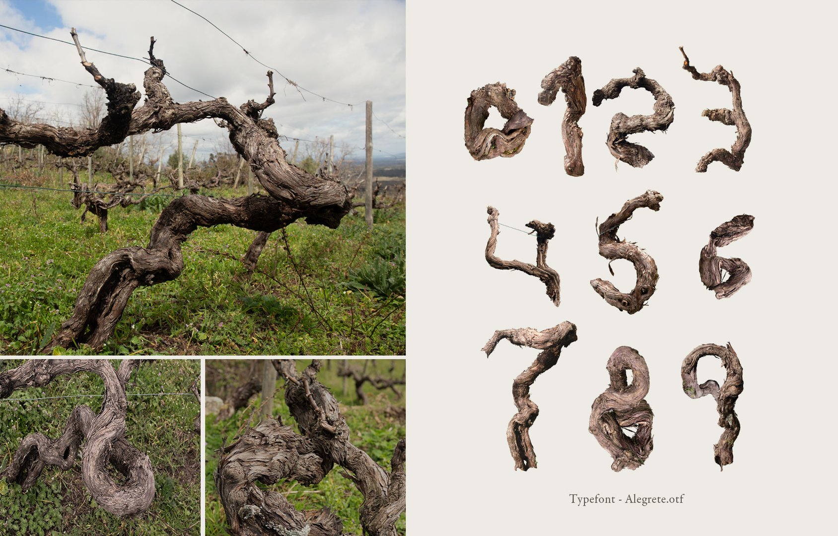 1-1375-ALEGRETE-TYPOGRAPHY.jpg