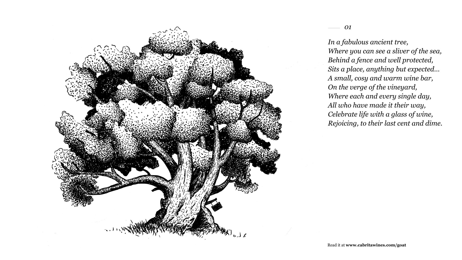 CABRITA-GOAT-ILUSTRAC-A-O-2.jpg