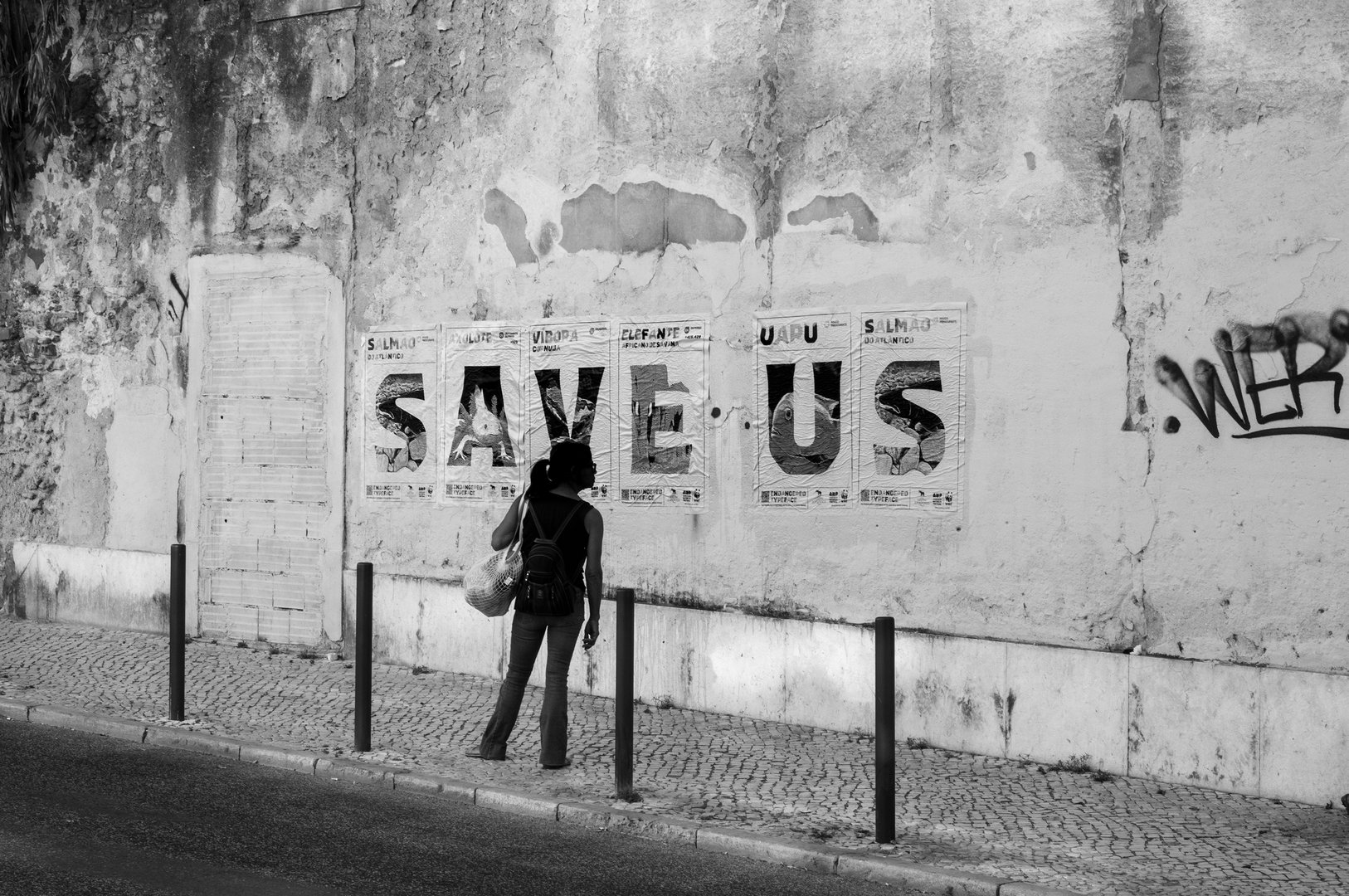 WWF-EndangeredTypeface-9.jpg