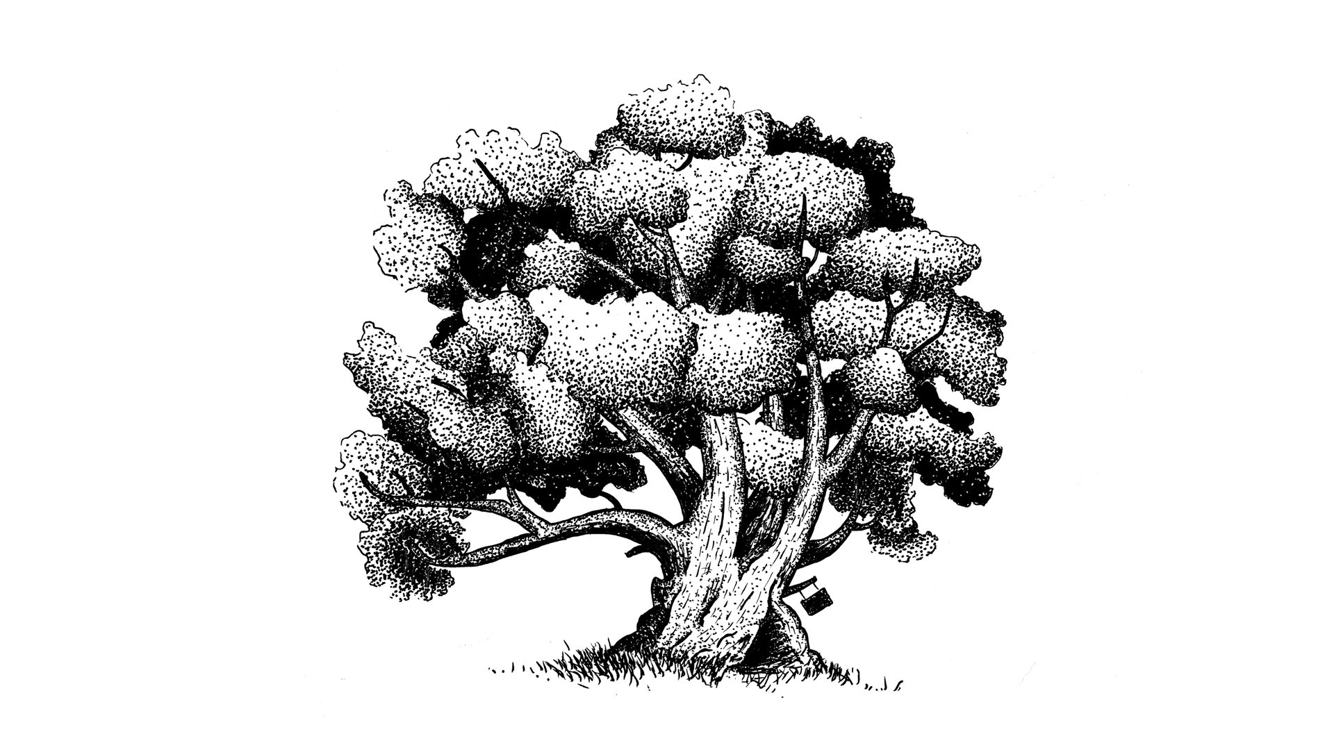 GOAT-COPY-2.jpg