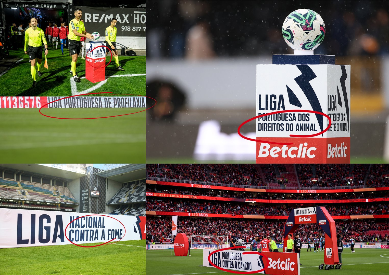 LigadasLigas-Portugues-08.jpg