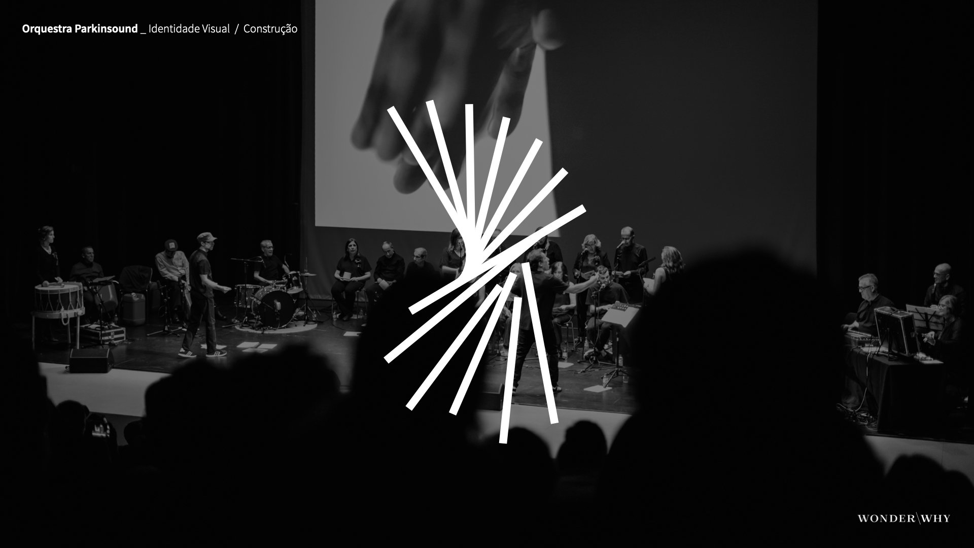 20240325-OrquestraParkinsound-AP.006.jpeg