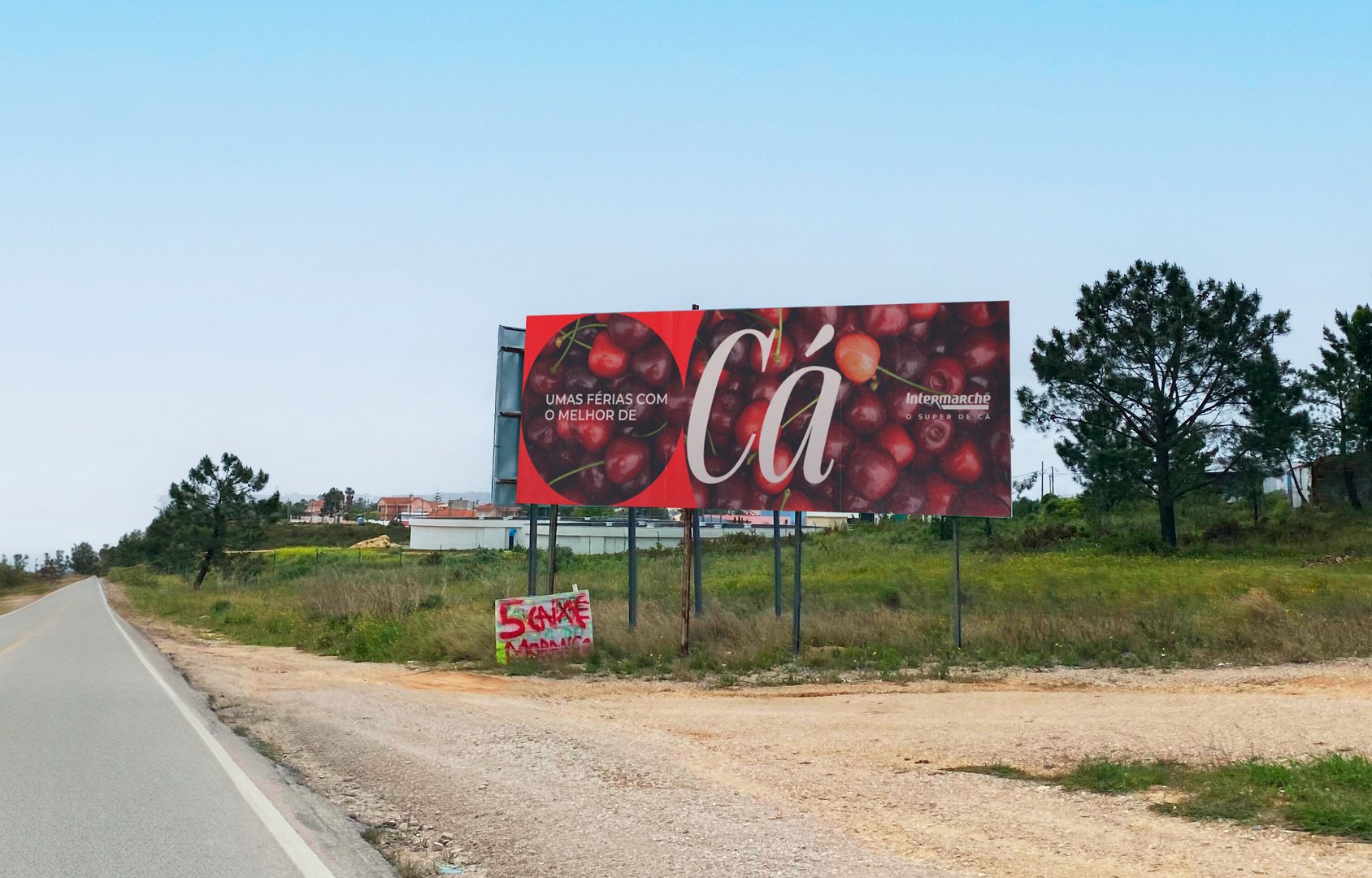 8x3-Ca.jpg