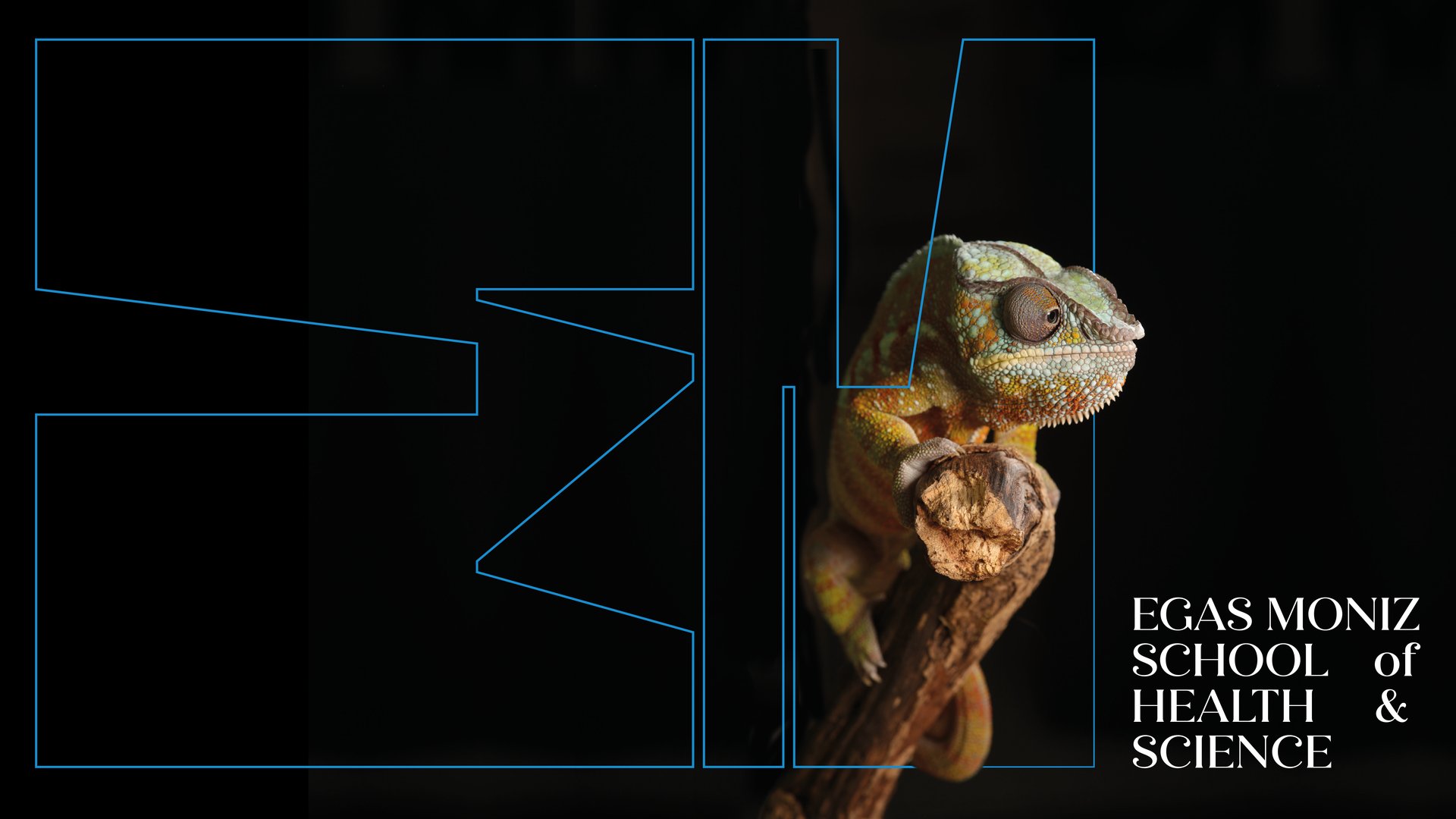 Egas-moniz-Branding-02.png