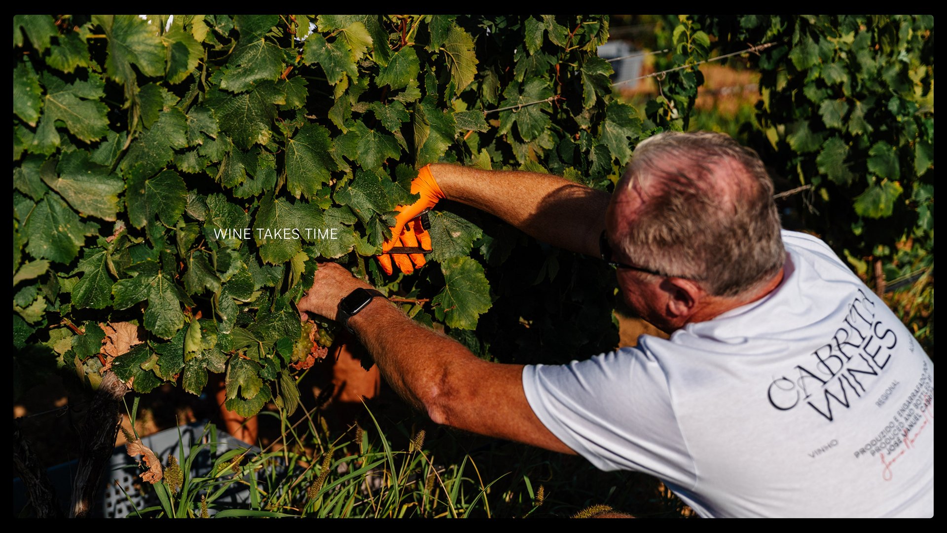 CCP-CABRITA-WINES-3.jpg