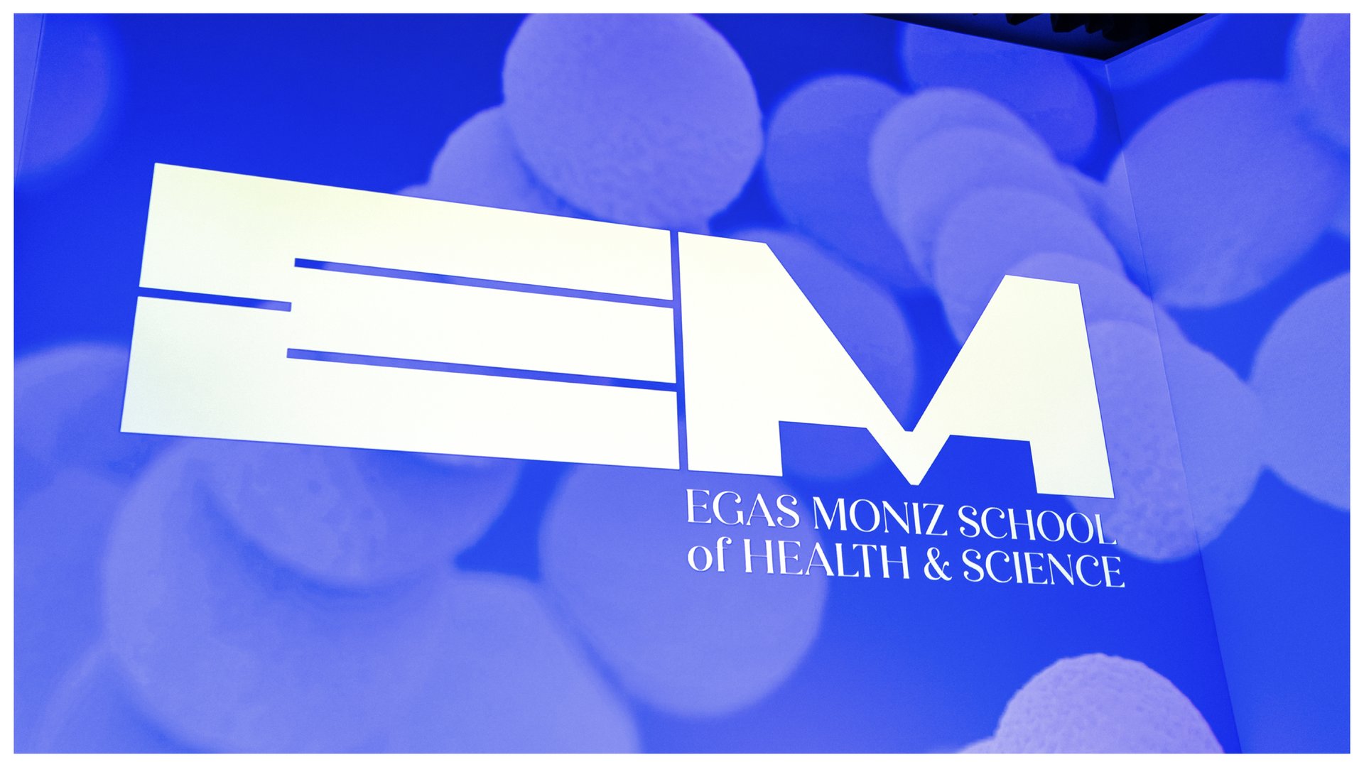 Egas-moniz-Branding-19.png