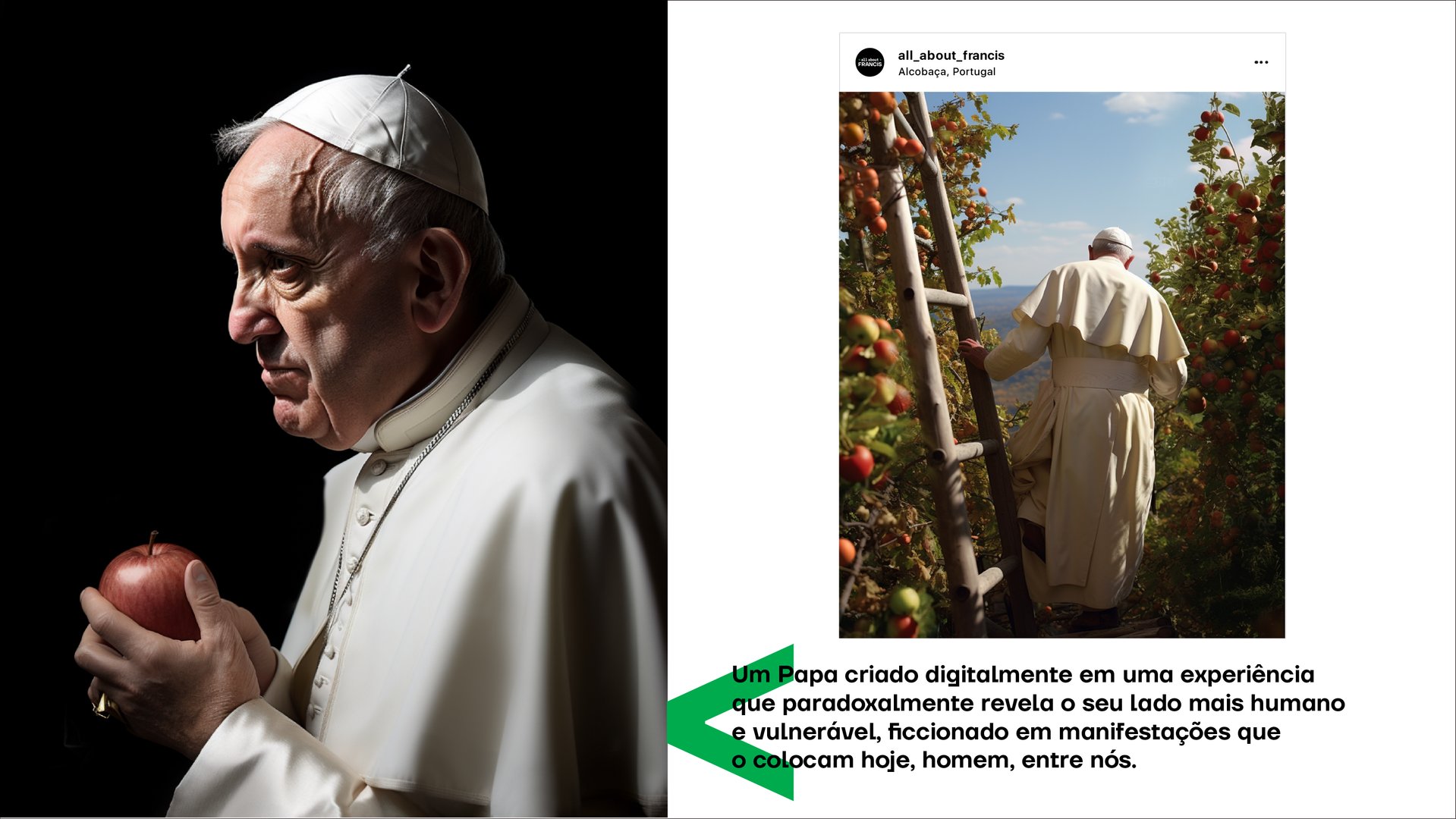 all-about-francis-19.png