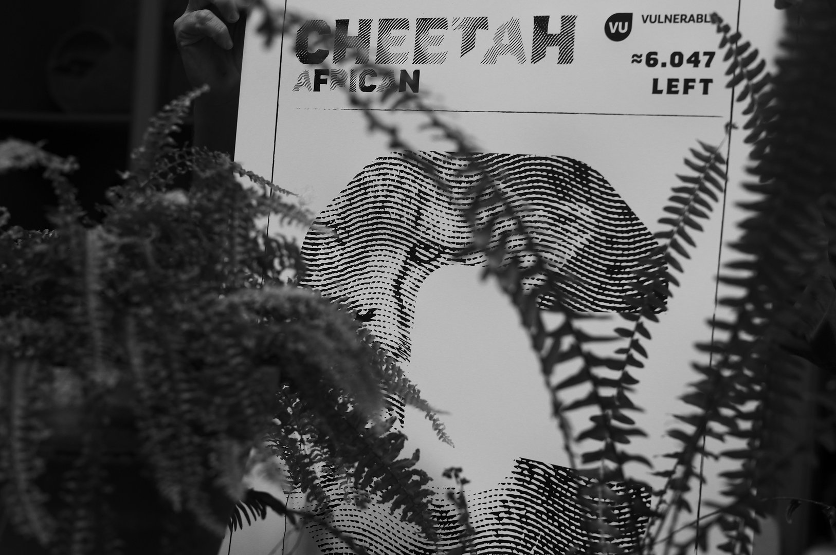 WWF-EndangeredTypeface-5.jpg