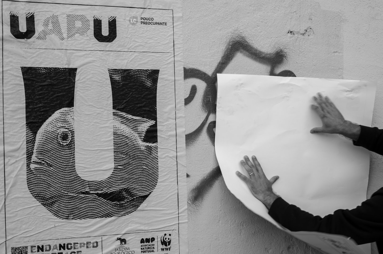 WWF-EndangeredTypeface-11.jpg