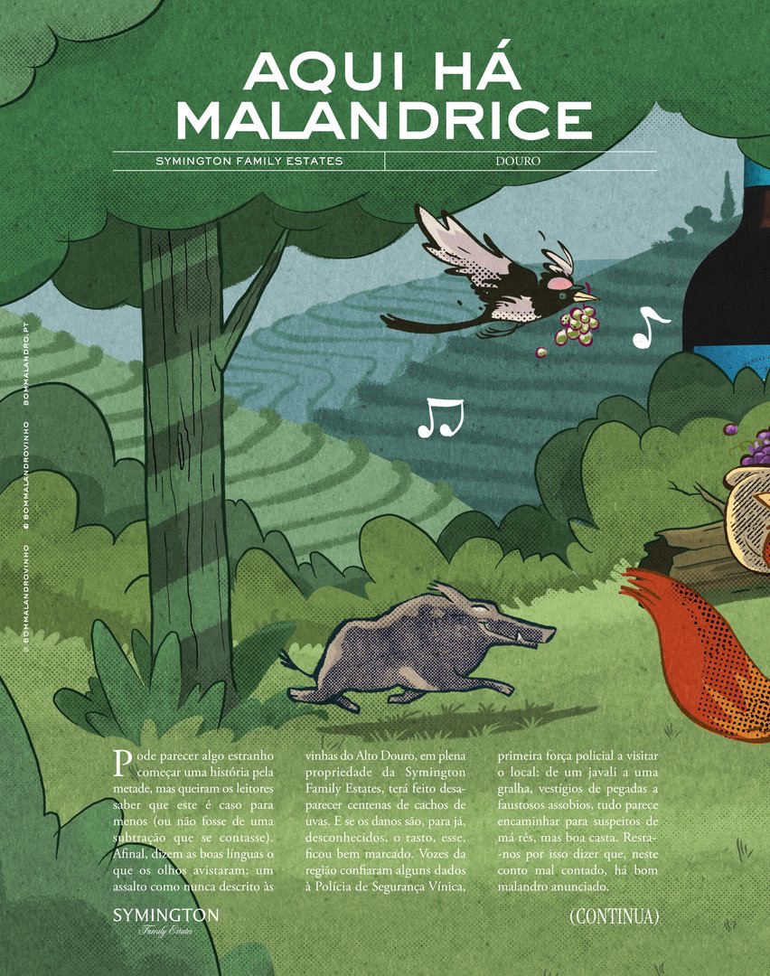 BOM-MALANDRO-PRESS-1.jpg